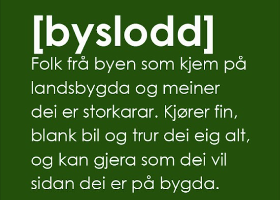 Skjermbilde 2025-05-03 142558